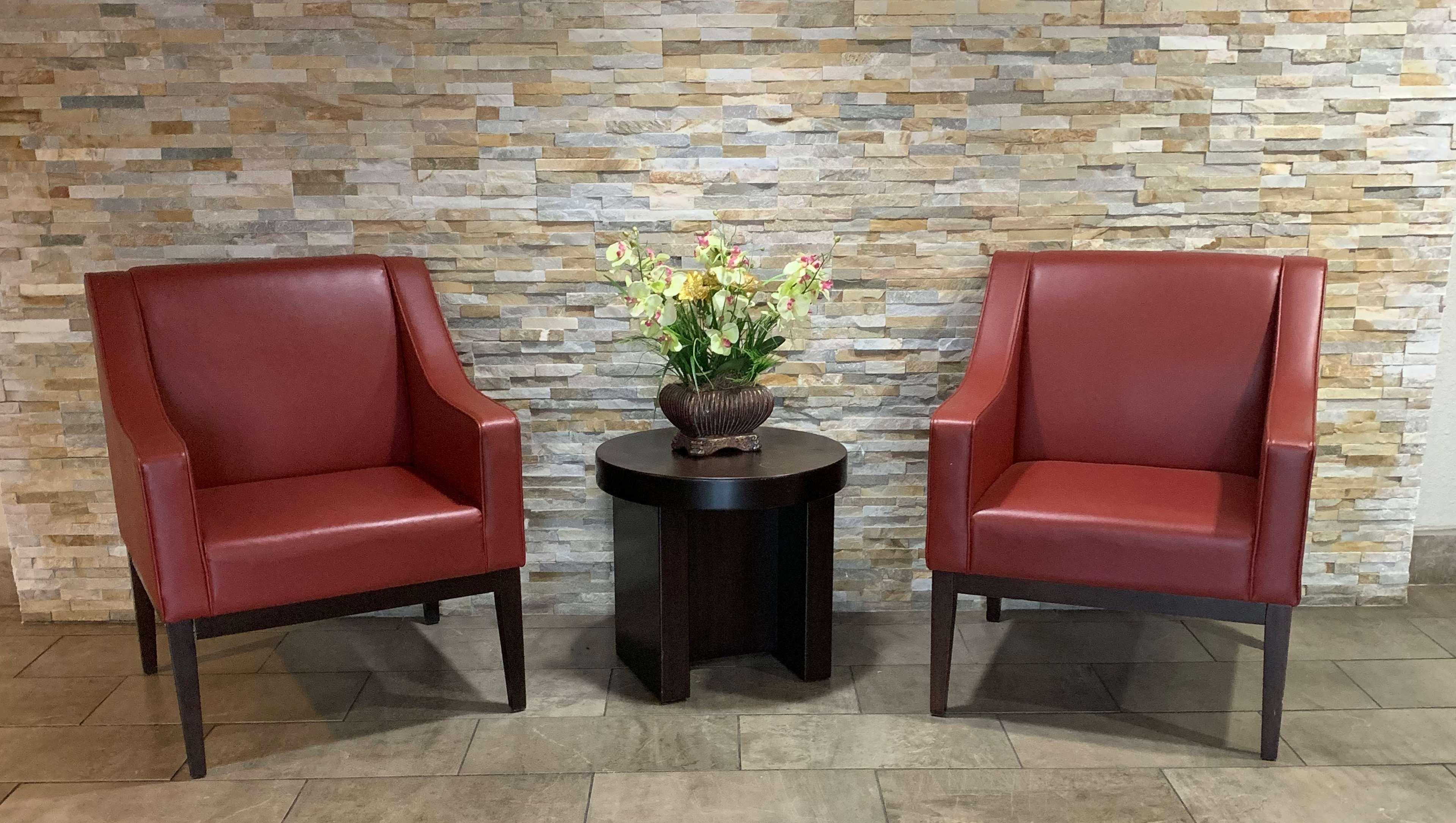 Quality Inn & Suites I-10 Near Fiesta Texas San Antonio Kültér fotó