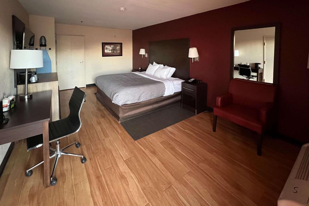 Quality Inn & Suites I-10 Near Fiesta Texas San Antonio Kültér fotó